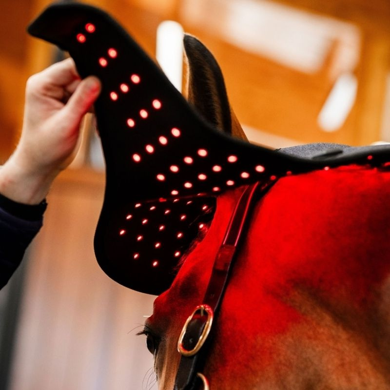 Terapihhette LED Red Light Therapy Svart