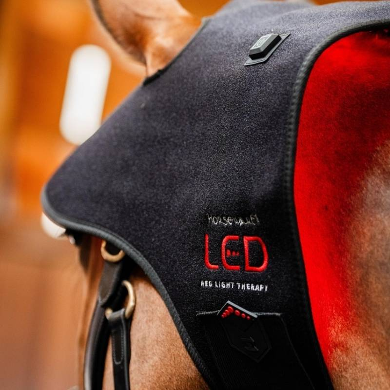 Terapihhette LED Red Light Therapy Svart