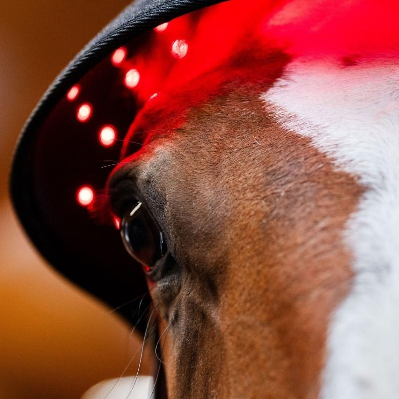 Terapihhette LED Red Light Therapy Svart