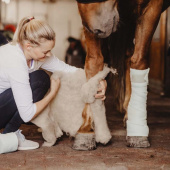 Ullpadder Wool Care Natur Ullpadder Wool Care Natur