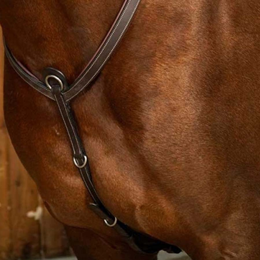 Fortøy med bro WC Brun