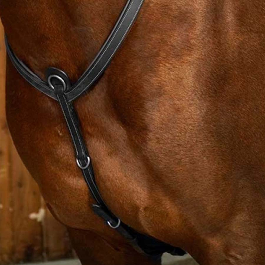 Fortøy med bro WC Svart