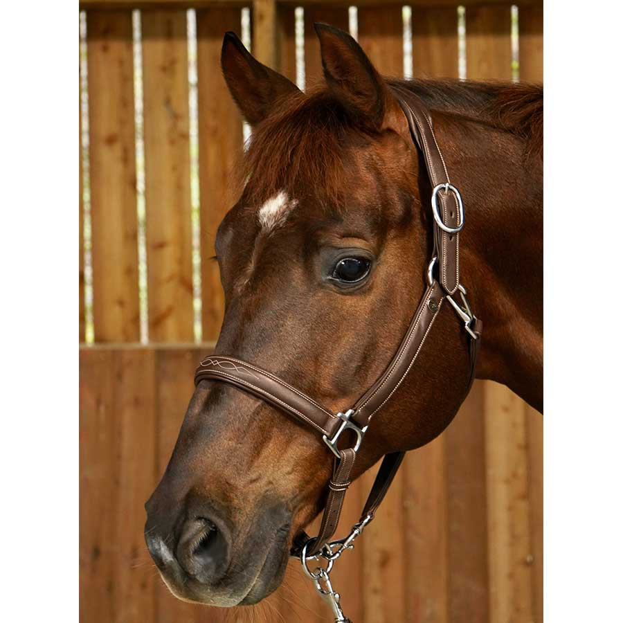 Lærgrime 2-i-1 WC Brun