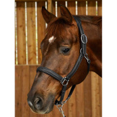 Lærgrime 2-i-1 WC Svart Lærgrime 2-i-1 WC Svart