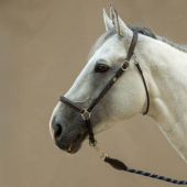 Groominggrime Leather WBD Brun Groominggrime Leather WBD Brun