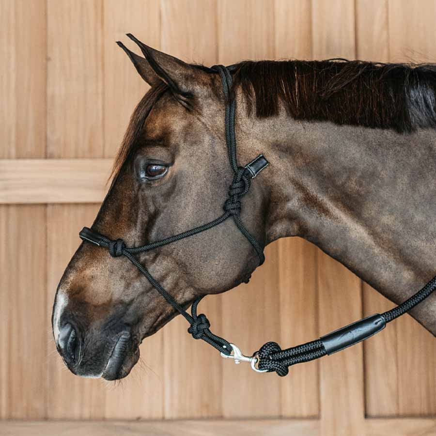 Taugrime Training WBD Svart