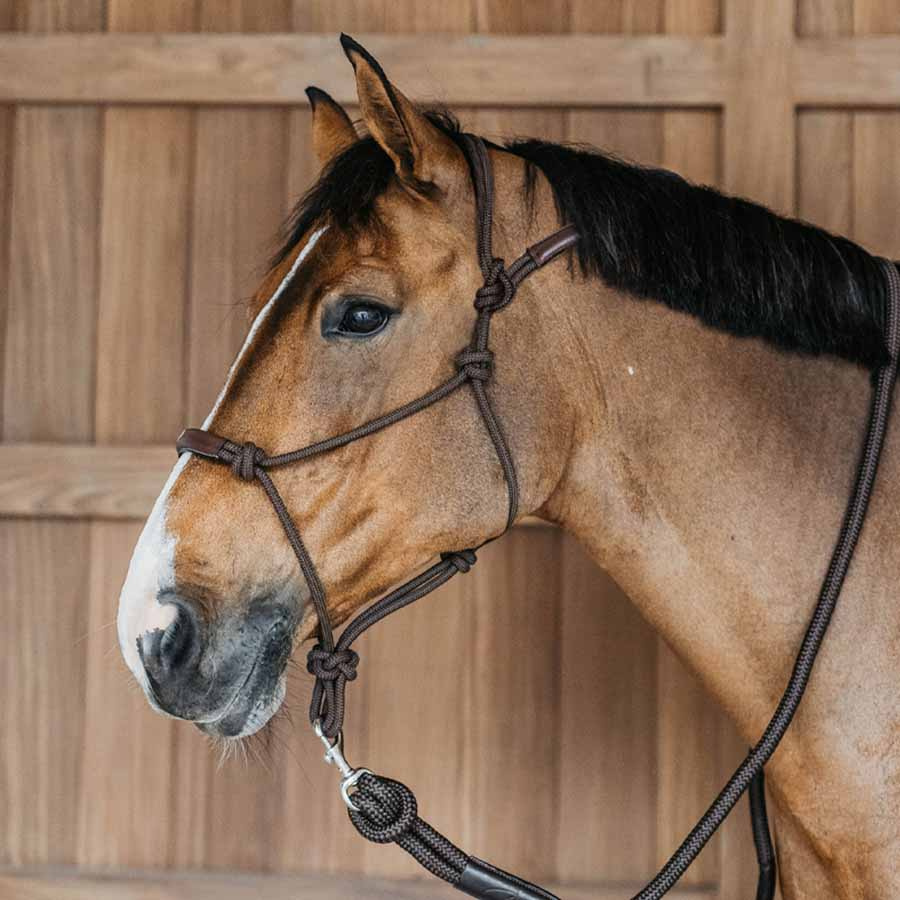 Taugrime Training WBD Brun