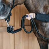 Leietau Removable Snap WBD Svart Leietau Removable Snap WBD Svart