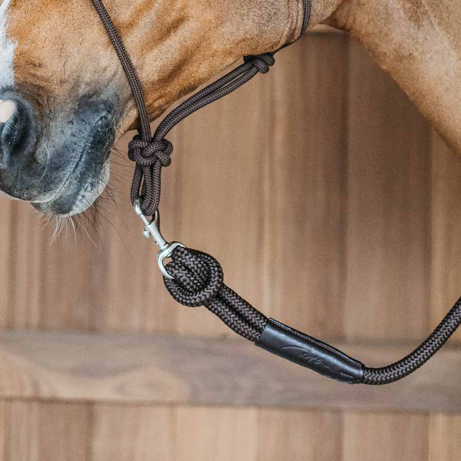 Leietau Removable Snap WBD Brun