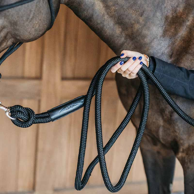 Leietau Training Removable Snap WBD Svart