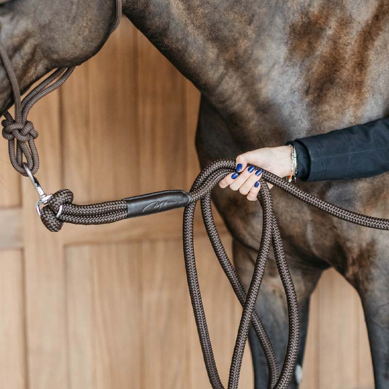 Leietau Training Removable Snap WBD Brun