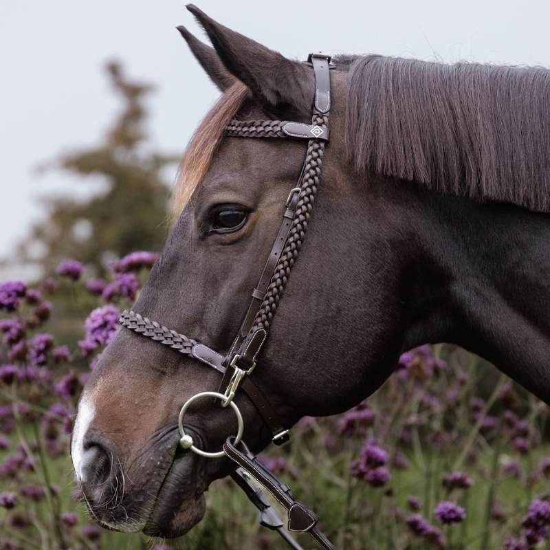 Hodelag Plaited Training Working Collection Brun
