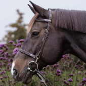 Hodelag Plaited Training Working Collection Brun Hodelag Plaited Training Working Collection Brun